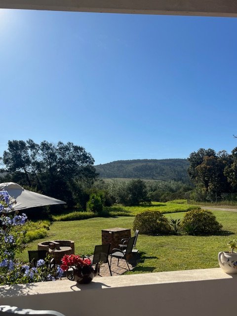  Bedroom Property for Sale in Wittedrift Western Cape